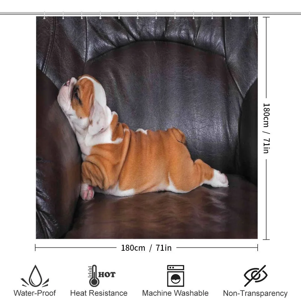 Resting Puppy — Detail 2