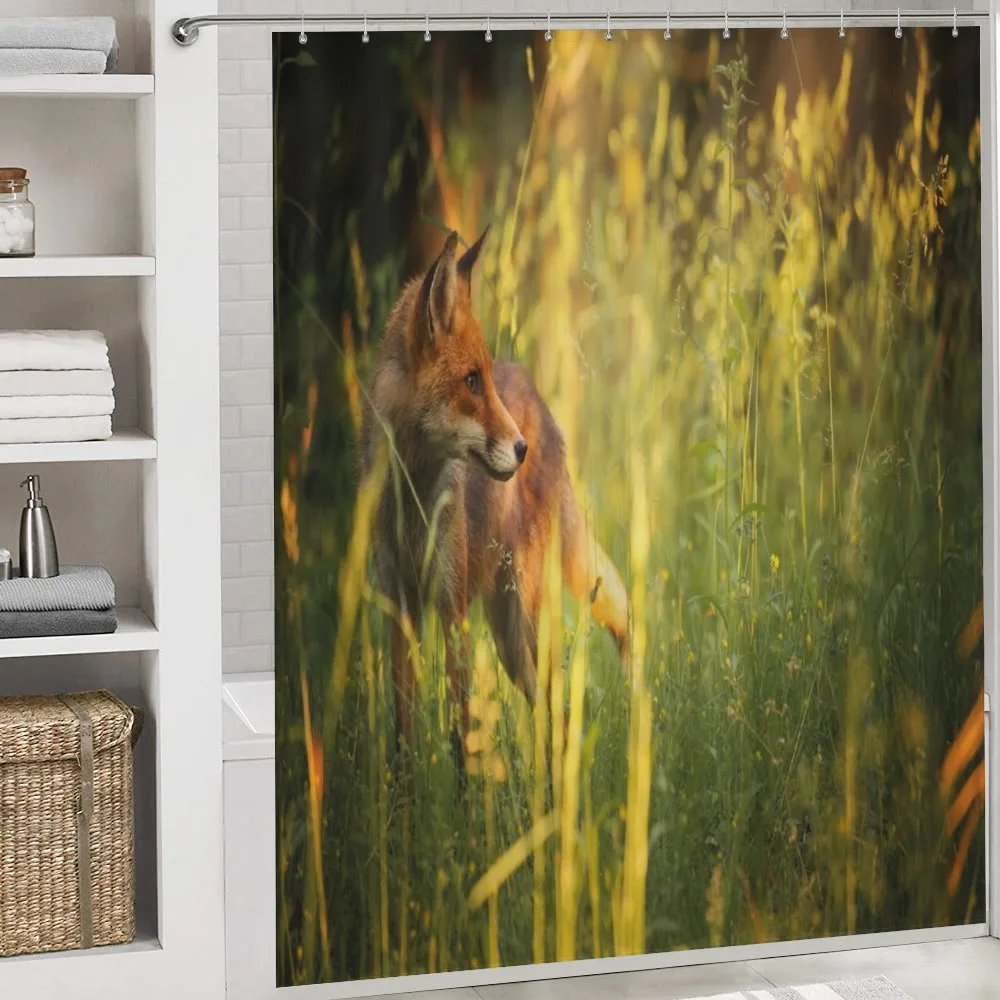 Vixen Mammal Summer Forest — Detail 4
