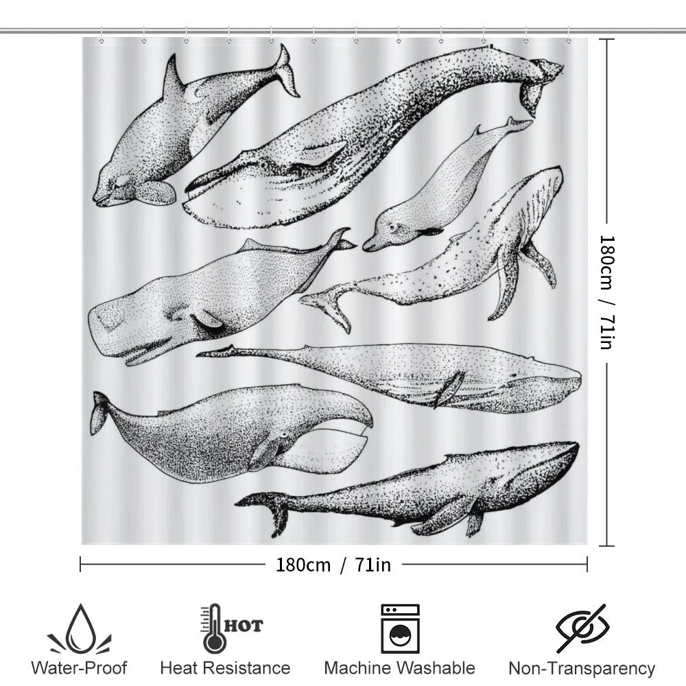 Hand Drawn Single Whale — Detail 2
