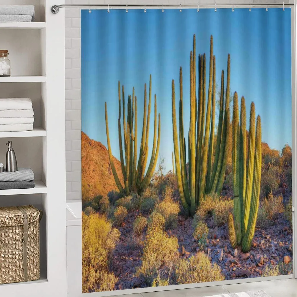 Mountain Cactus Photo — Detail 4