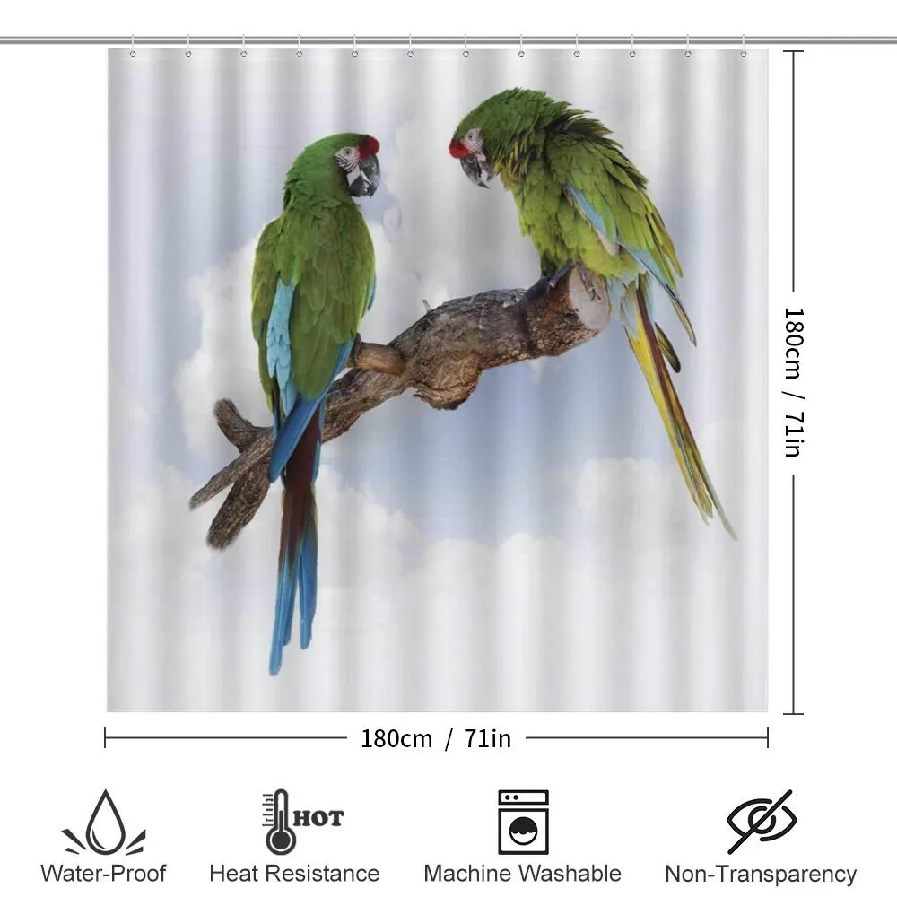 2 Parrot Macaw Bird — Detail 2