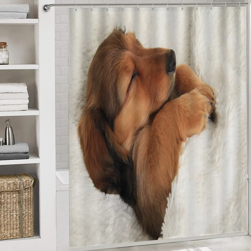 Puppy Sleeping in Its Bed — Detail 4