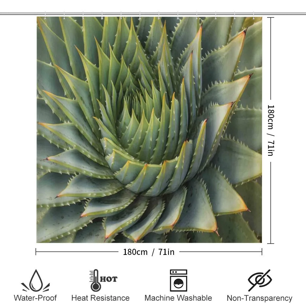 Western Botanic Plant — Detail 2
