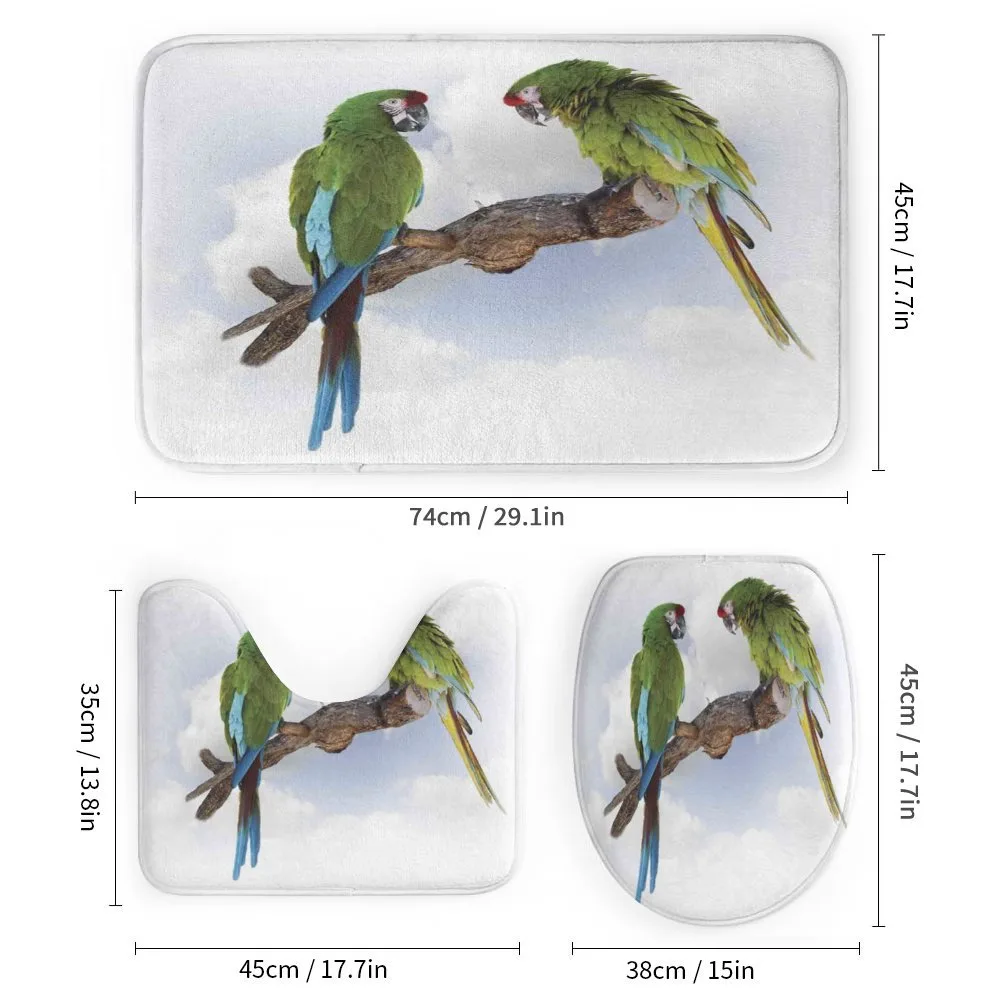 2 Parrot Macaw Bird — Detail 1