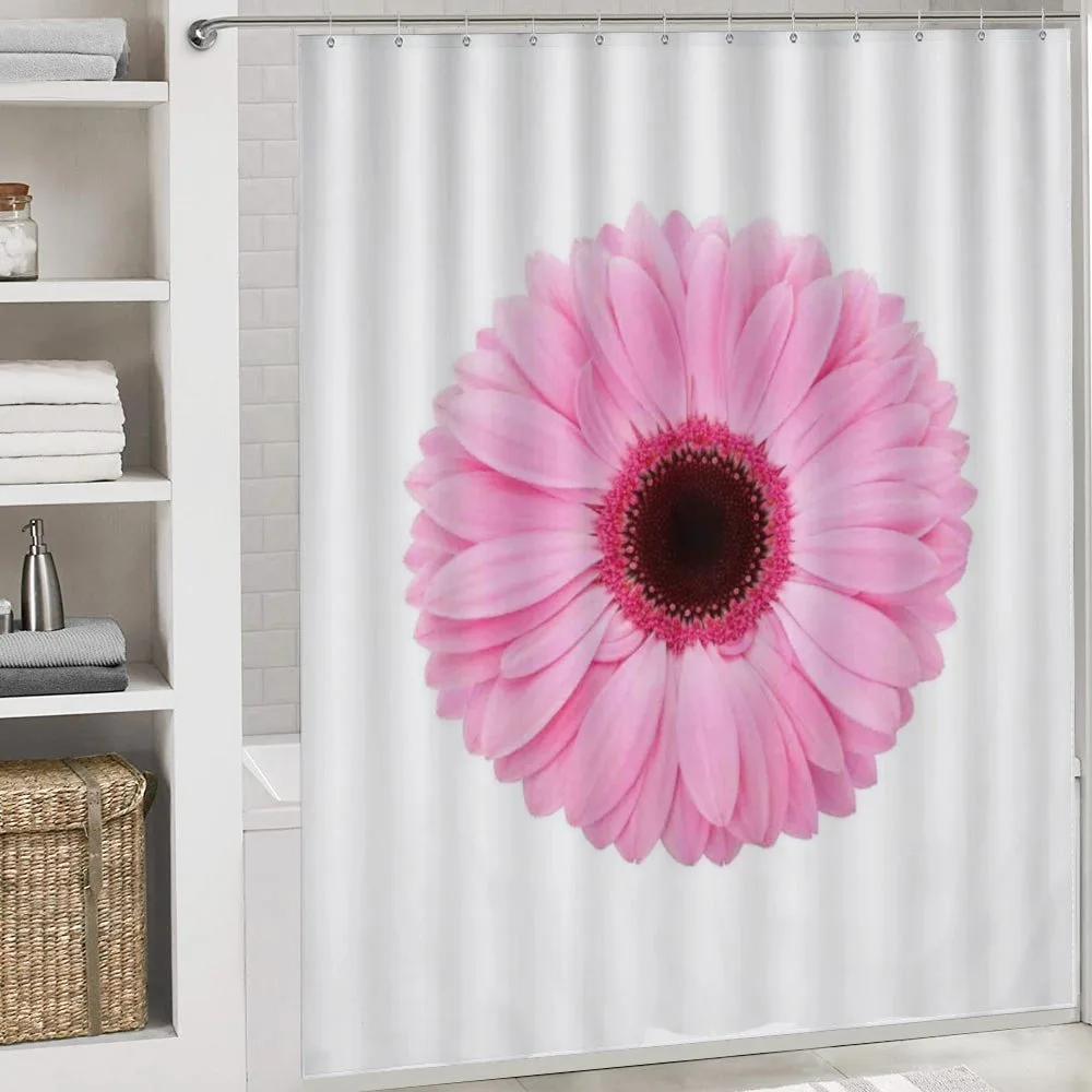 Gerber Daisy — Detail 4