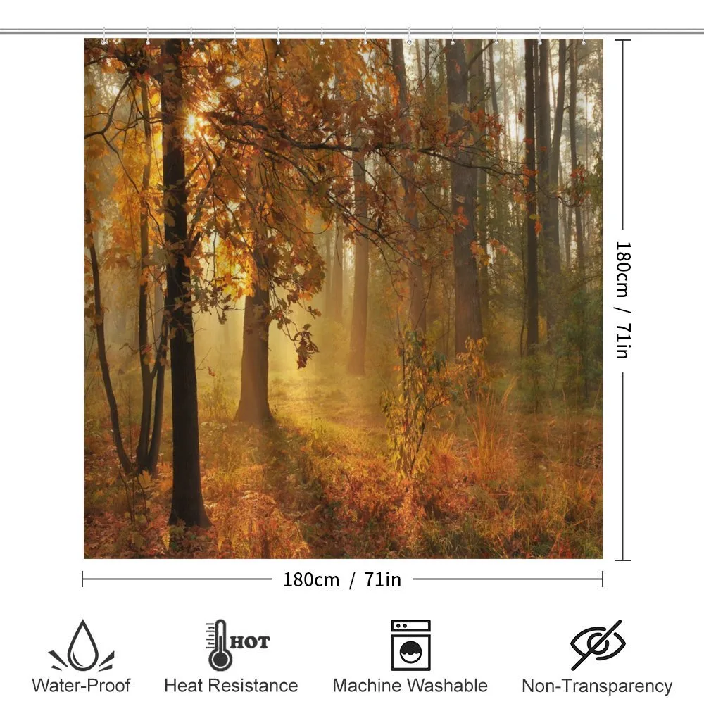 Misty Autumnal Forest — Detail 2