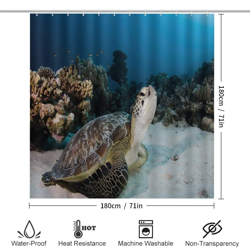 Turtle Coral Reef — Detail 2