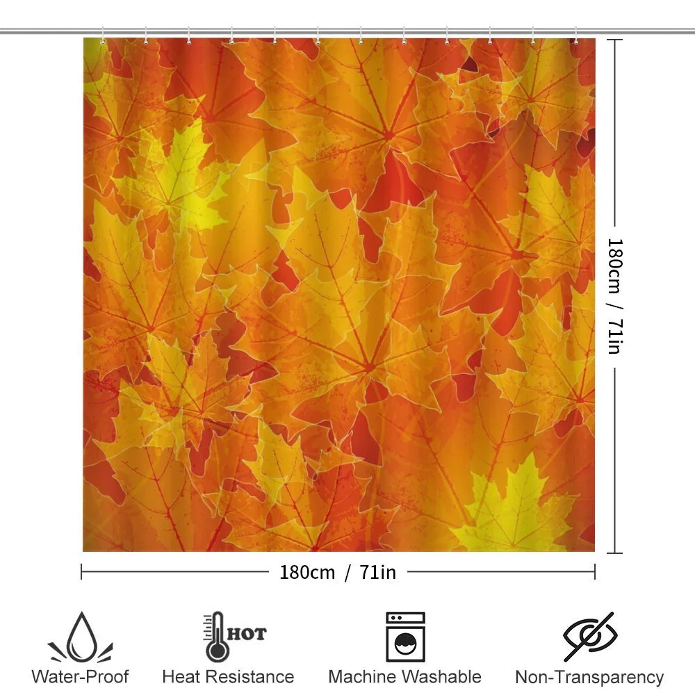 Maple Botany Foliage Leaf — Detail 2