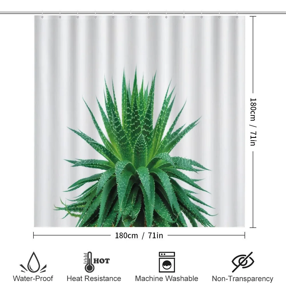 Vibrant Aloe Vera — Detail 2