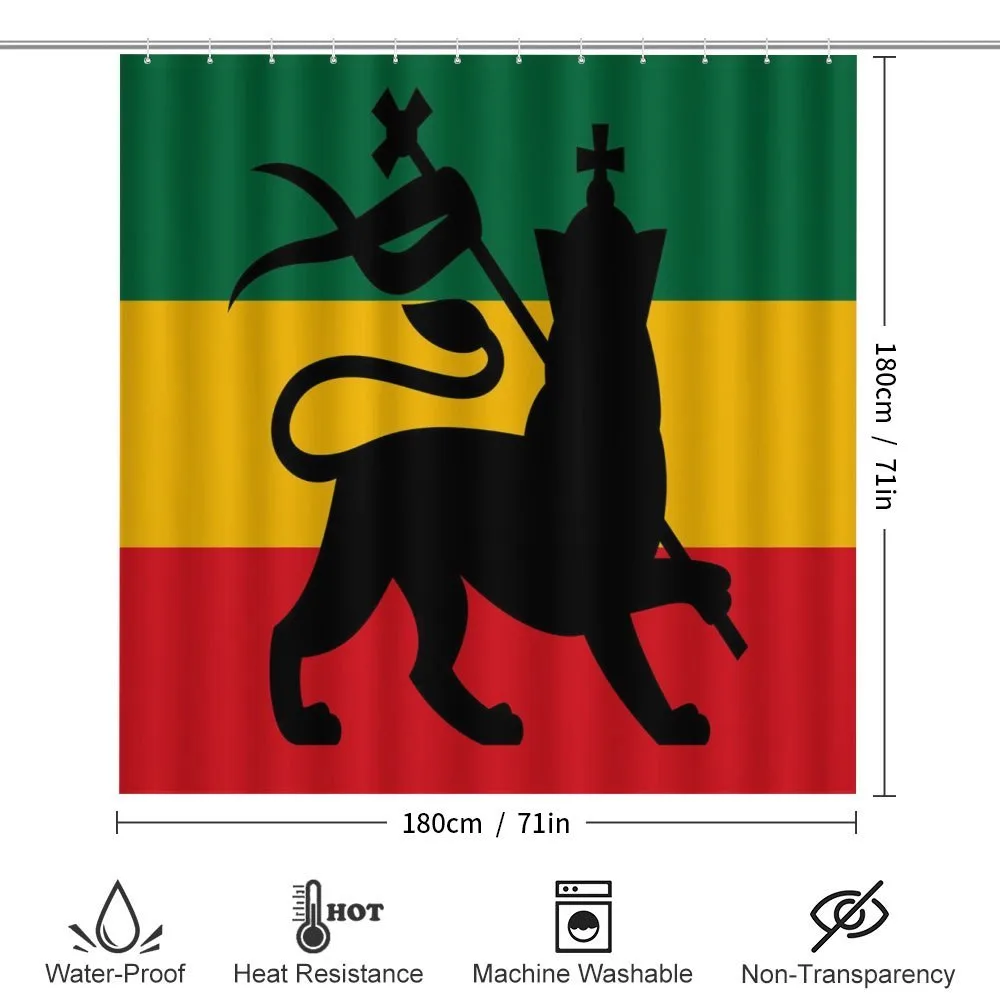 Judah Lion Reggae Flag — Detail 2