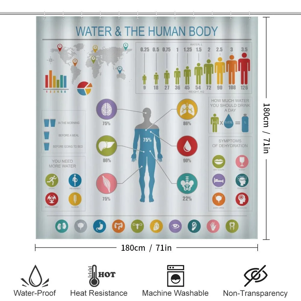 Water and Human Body Info — Detail 2