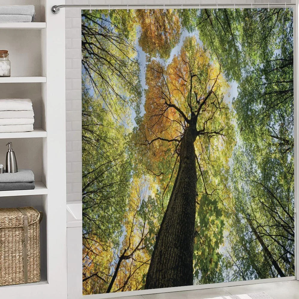 Forest Autumn Growth Eco — Detail 4