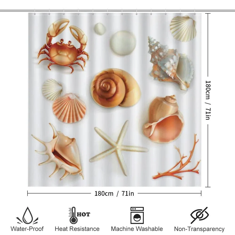 Seashells Marine Aquatic — Detail 2