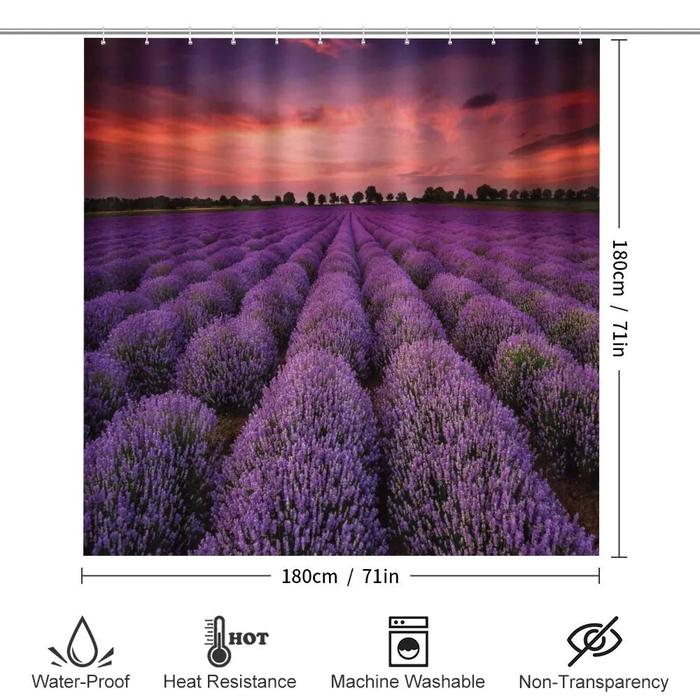 Lavender Field Sunset — Detail 2