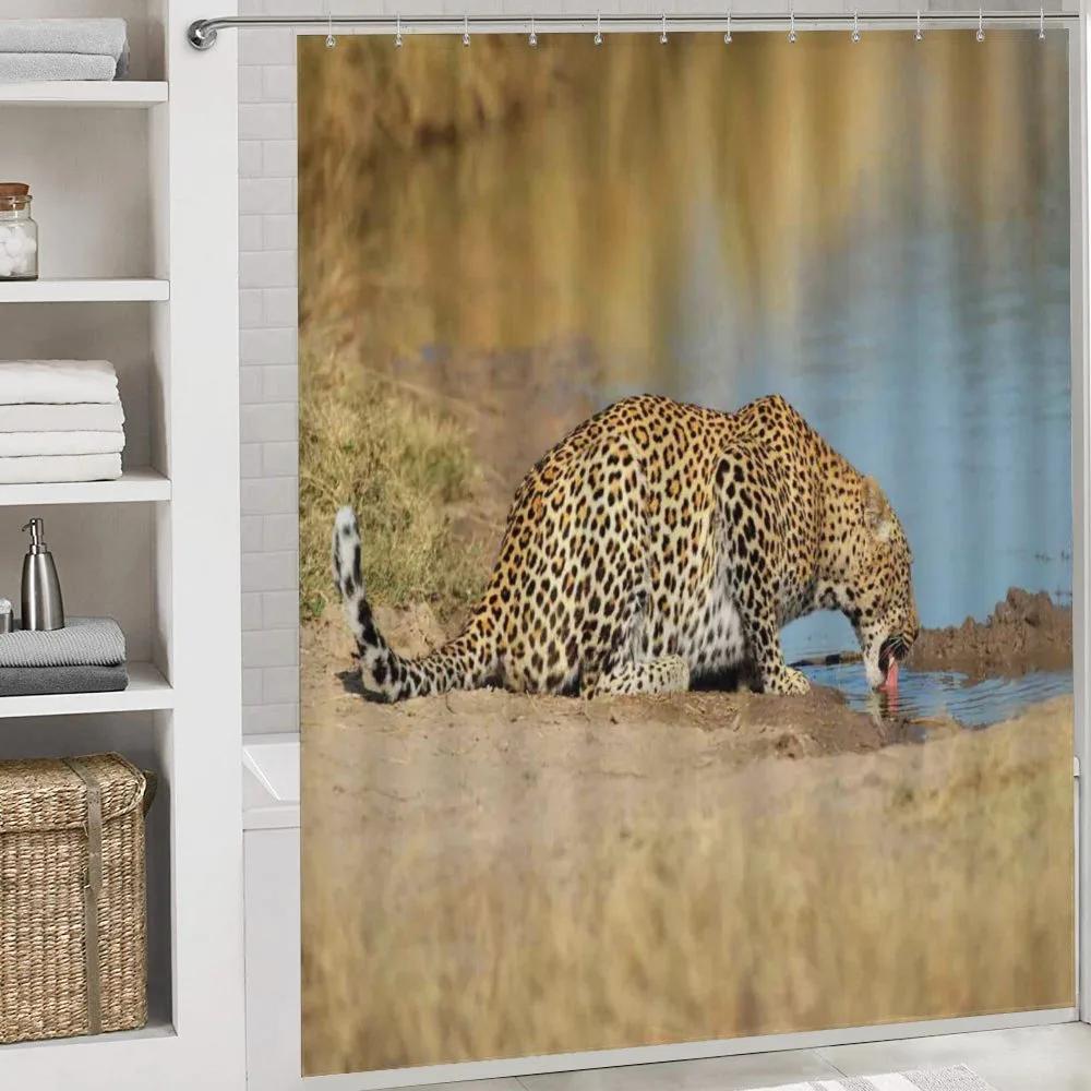 Leopard in Safari — Detail 4