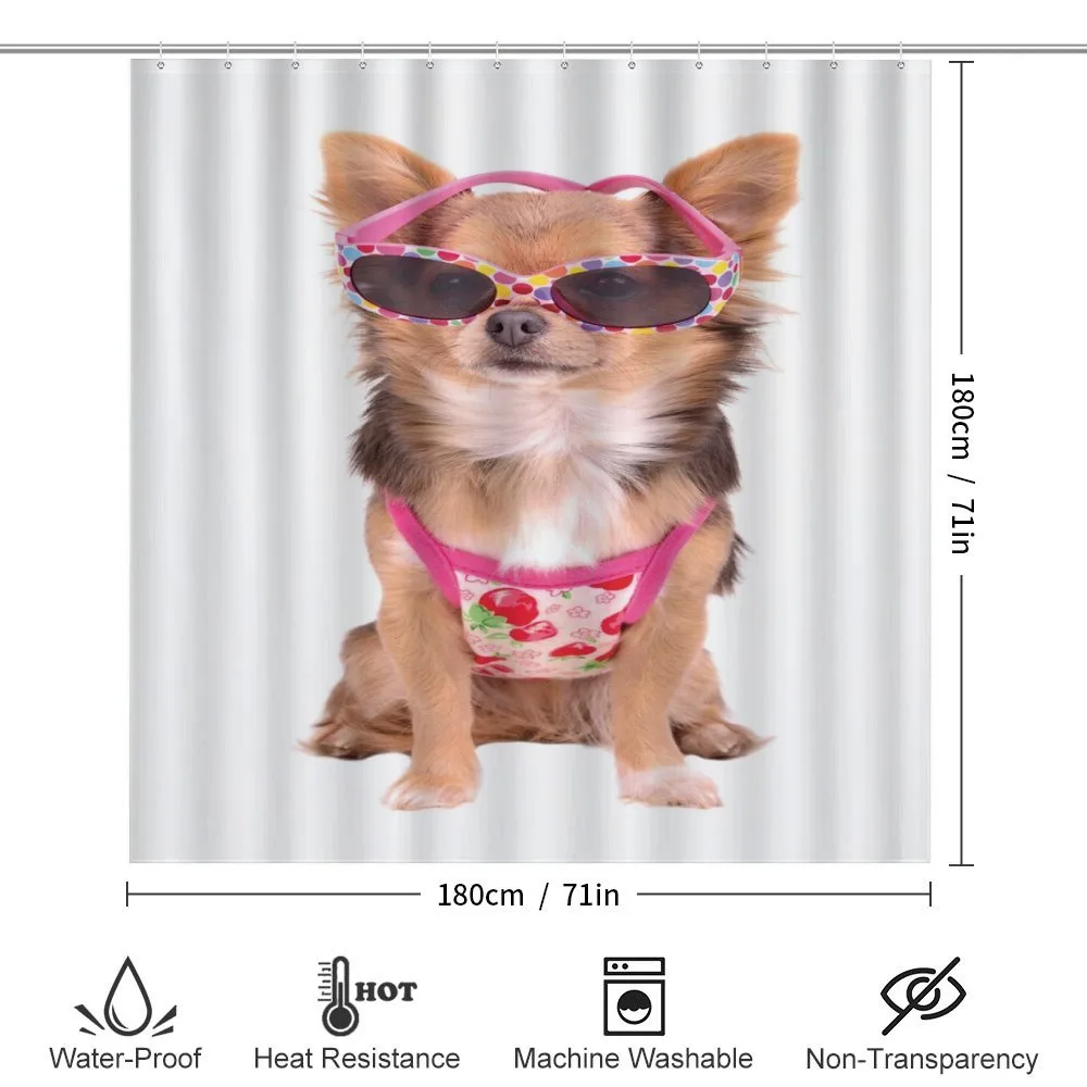 Puppy with Summer Clothes — Detail 2