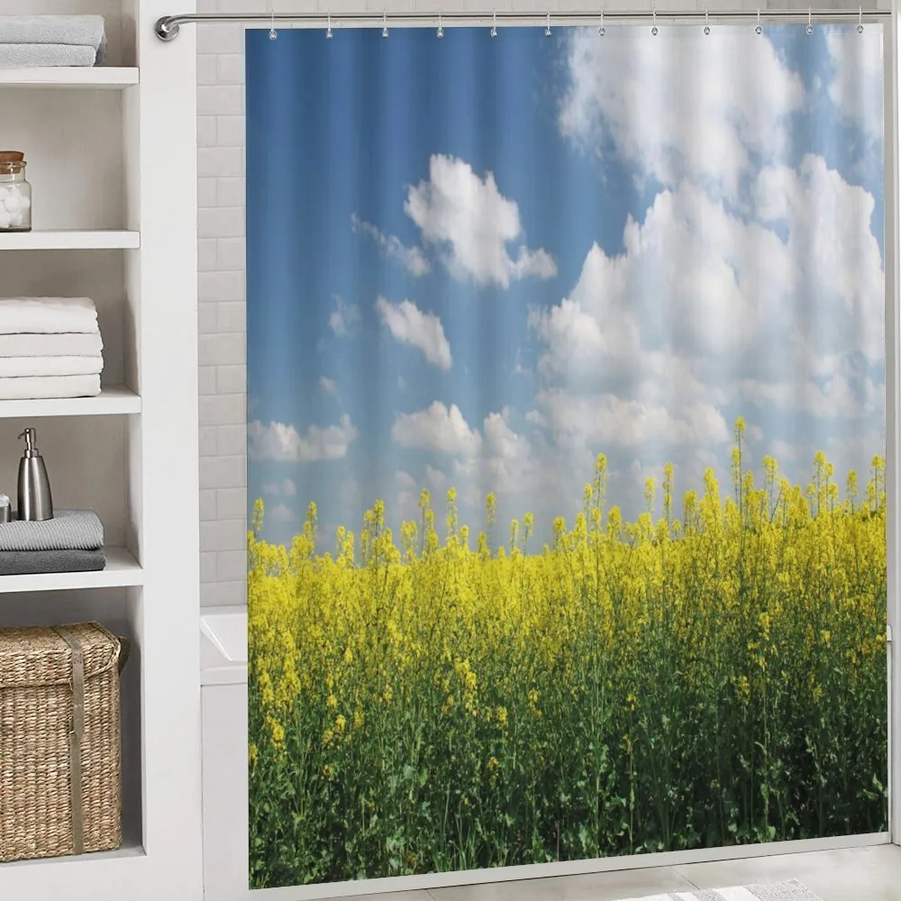 Rapeseed Field Germany — Detail 4