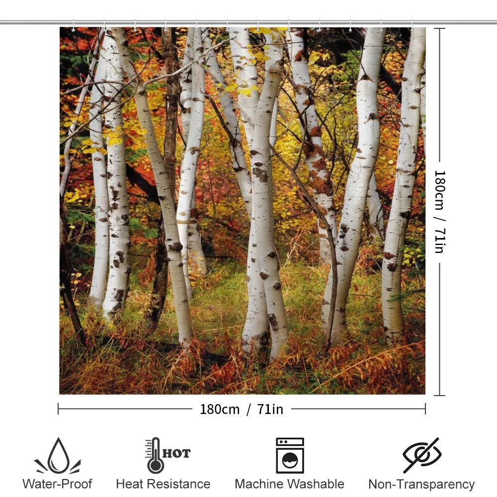 White Birch Trees Serenity — Detail 2