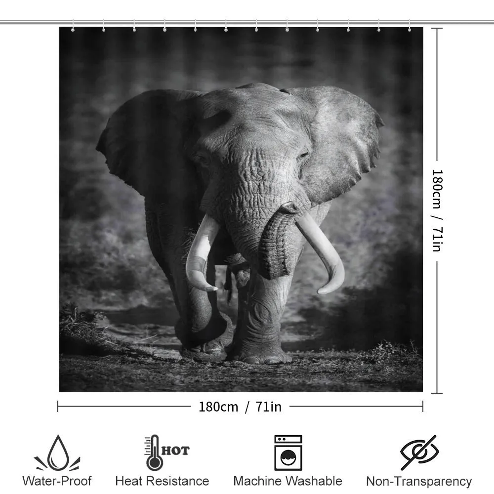 Exotic Wildlife Elephant — Detail 2