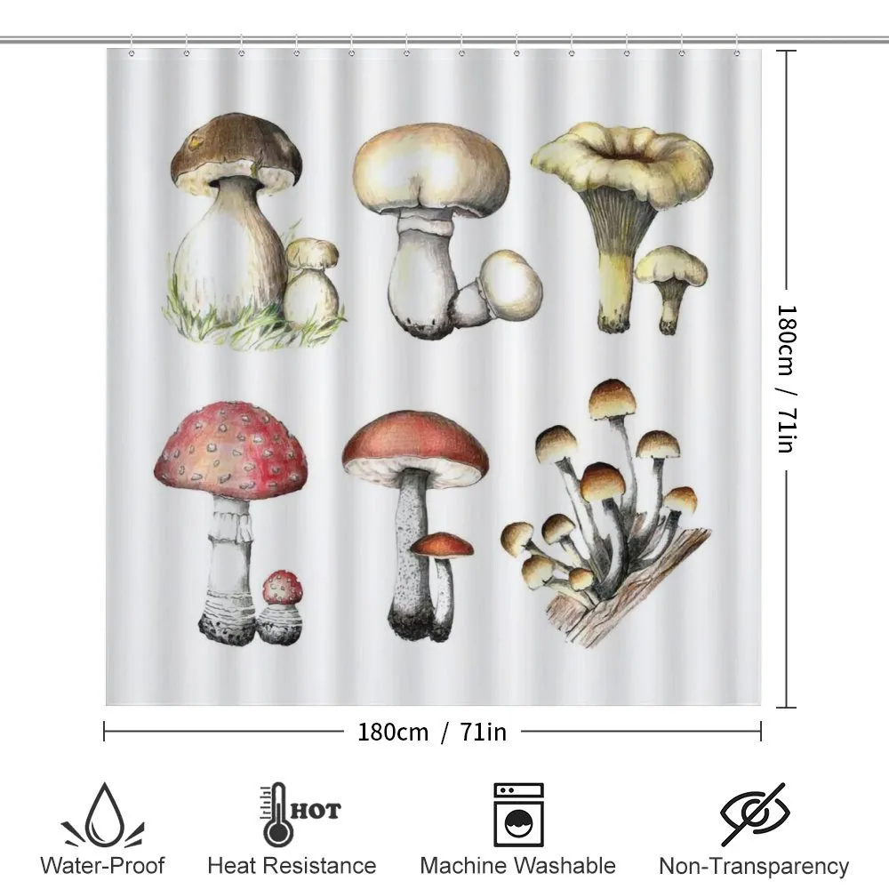 Hand Drawn Fungus — Detail 2