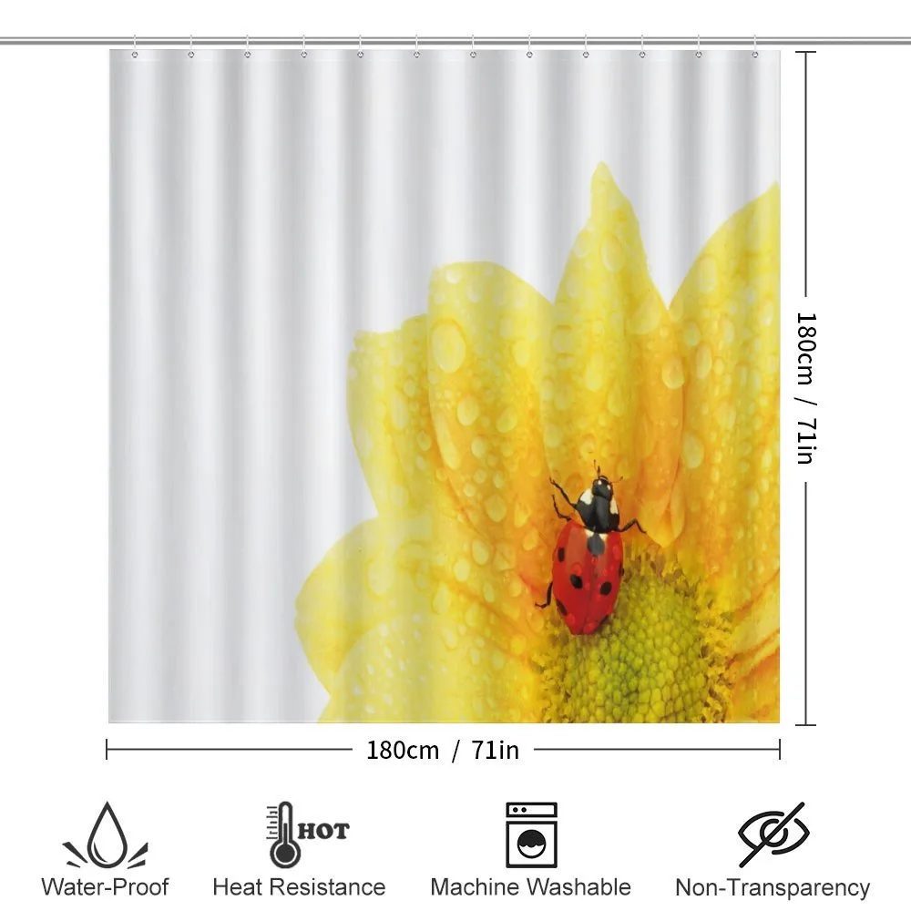 Ladybug — Detail 2