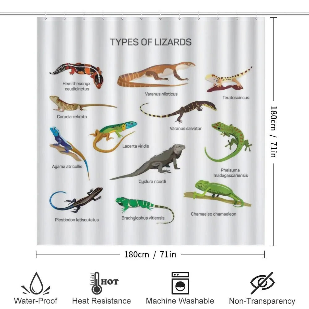 Exotic Lizard Reptiles — Detail 2