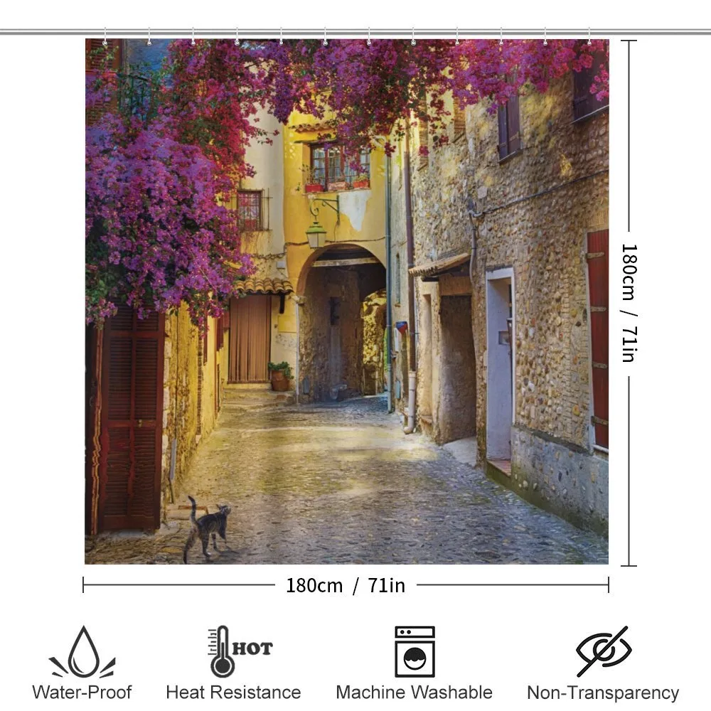 Historical Houses Alley — Detail 2