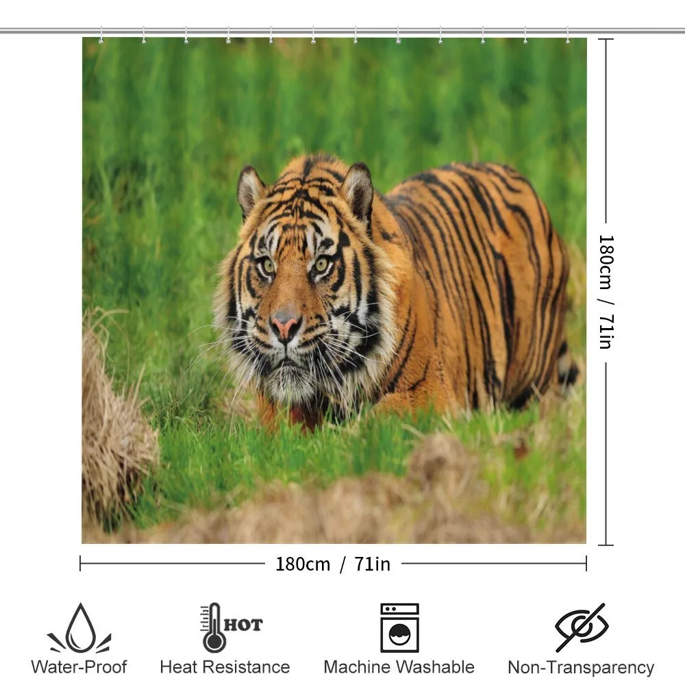 Sumatran Feline Ambush — Detail 2