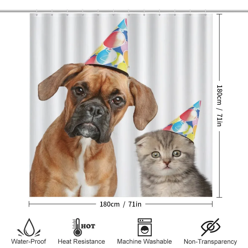 Funny Dog Scottish Cat — Detail 2