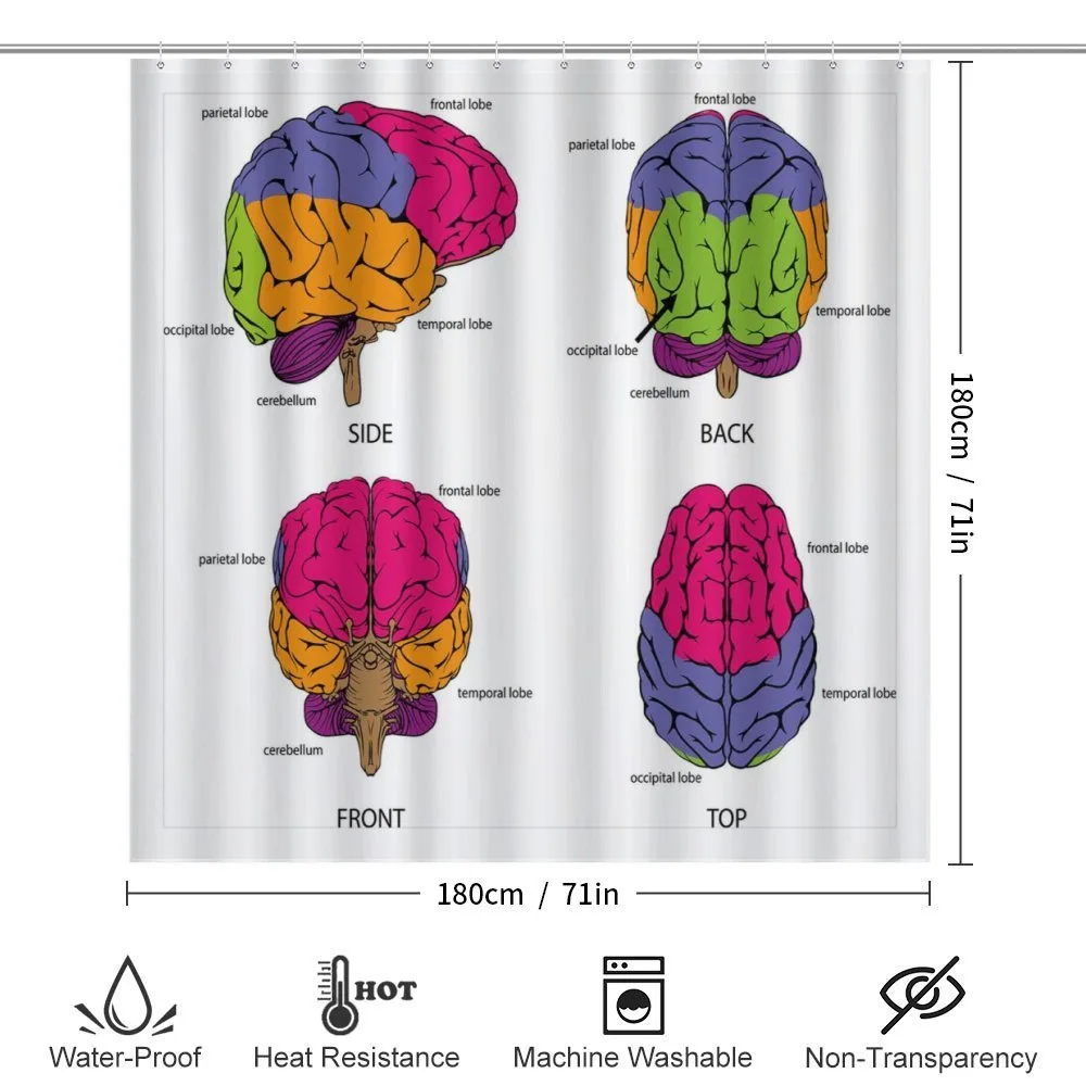 Human Brain Colors — Detail 2