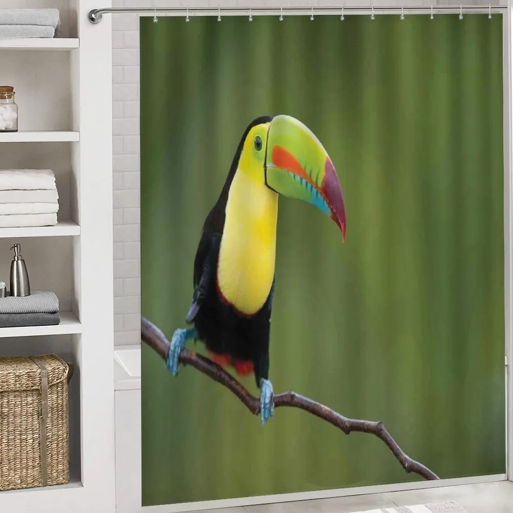 Keel Billed Toucan — Detail 4