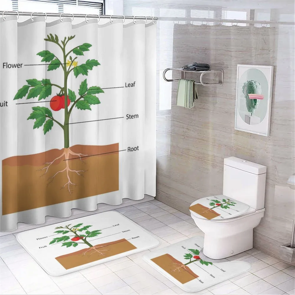 Parts of a Tomato Plant — Your design