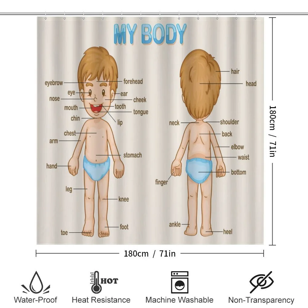 Parts of the Body — Detail 2