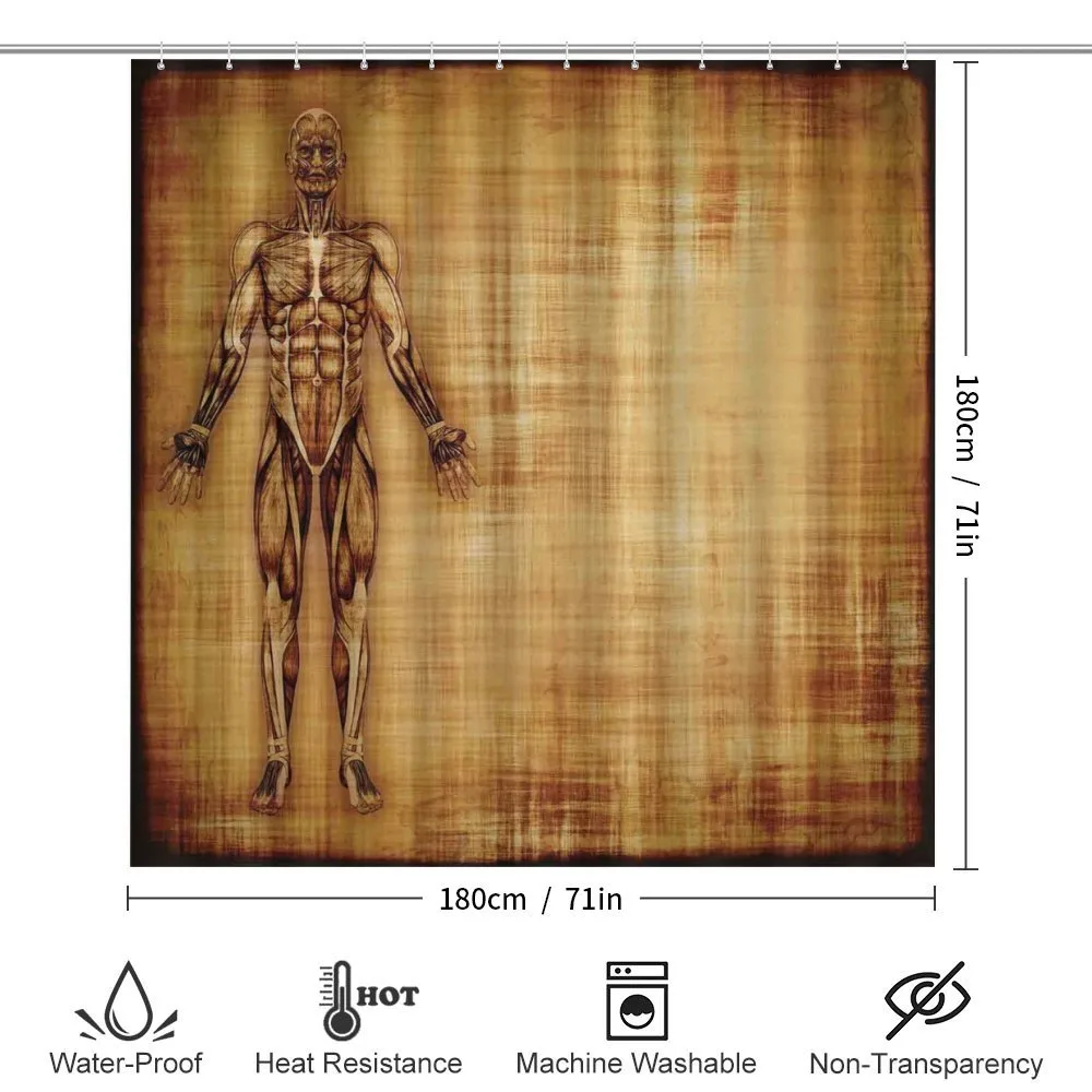 Human Body Style — Detail 2