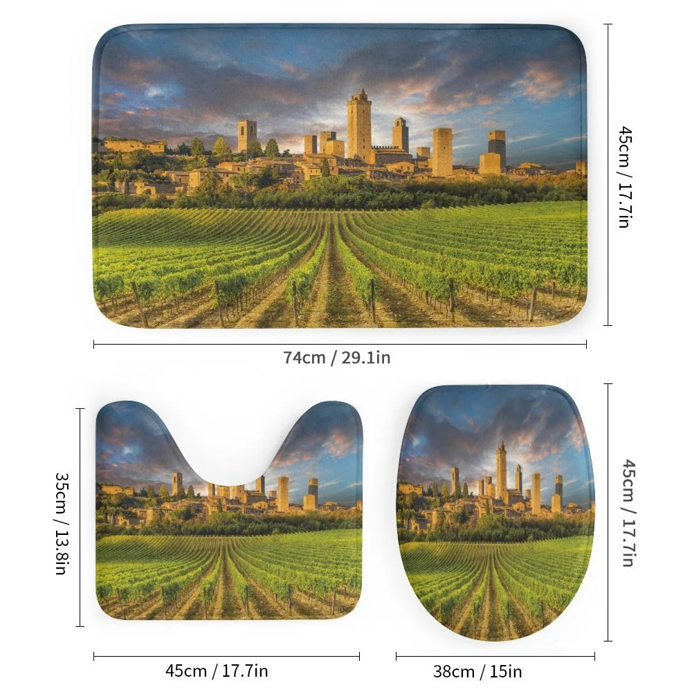 San Gimignano Vineyards — Detail 1