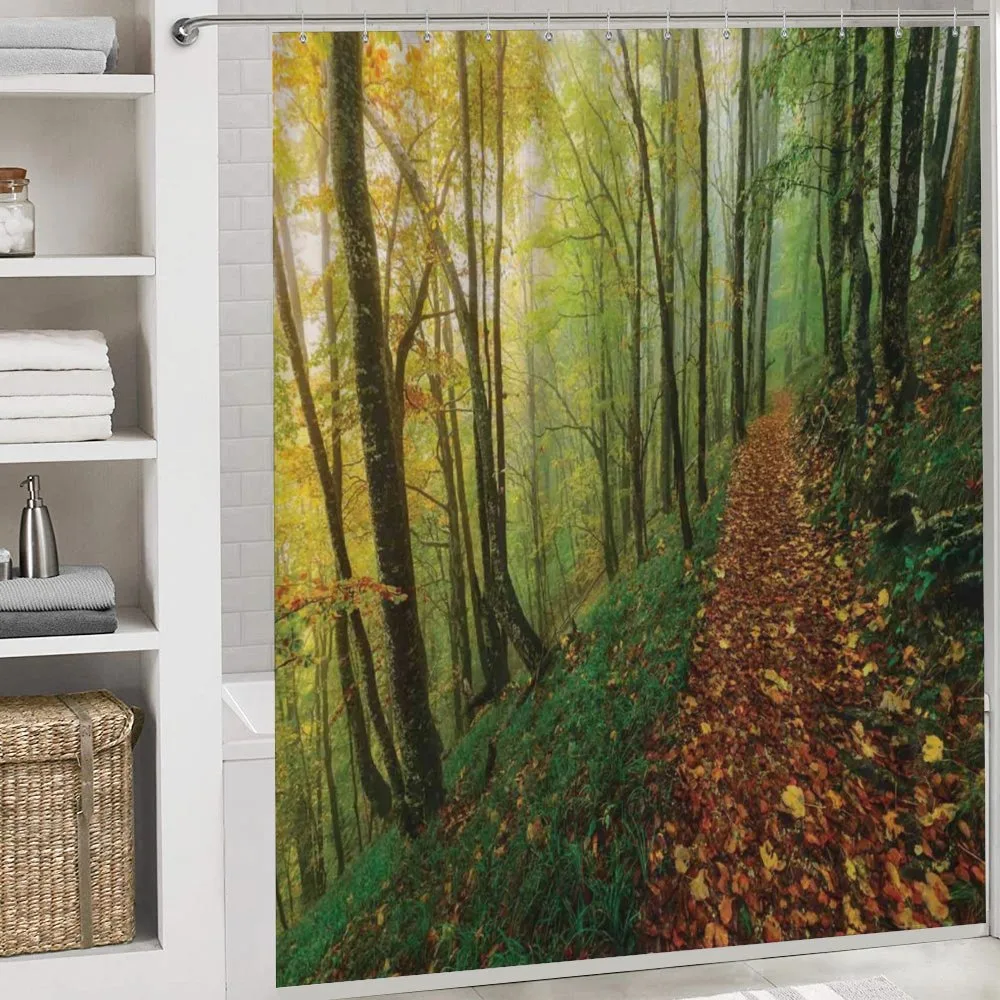 Forest Path View — Detail 4