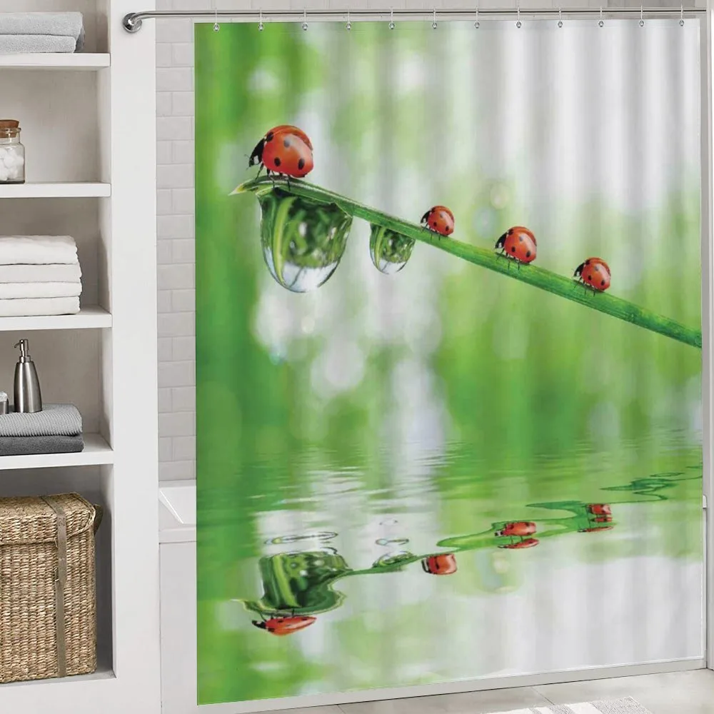 Ladybug on Water Image — Detail 4