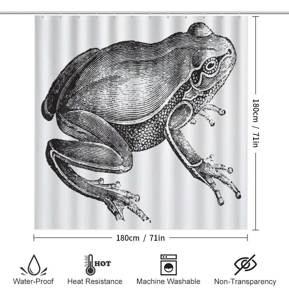 Engraved Amphibian Fauna Art — Detail 2