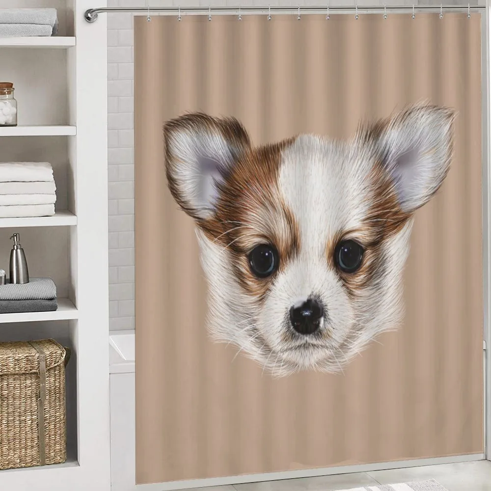 Little Furry Friend — Detail 4