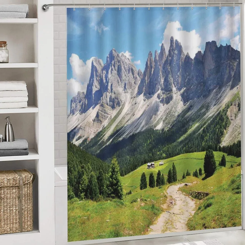 Pathway to Forest Alps — Detail 4