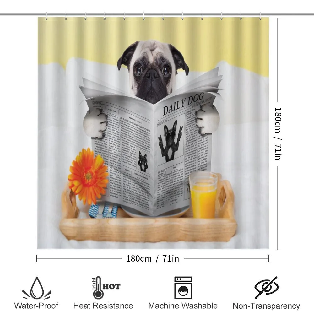 Pug Reading News Daily Dog — Detail 2