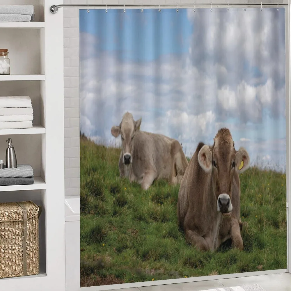 Resting Cows and Sky — Detail 4