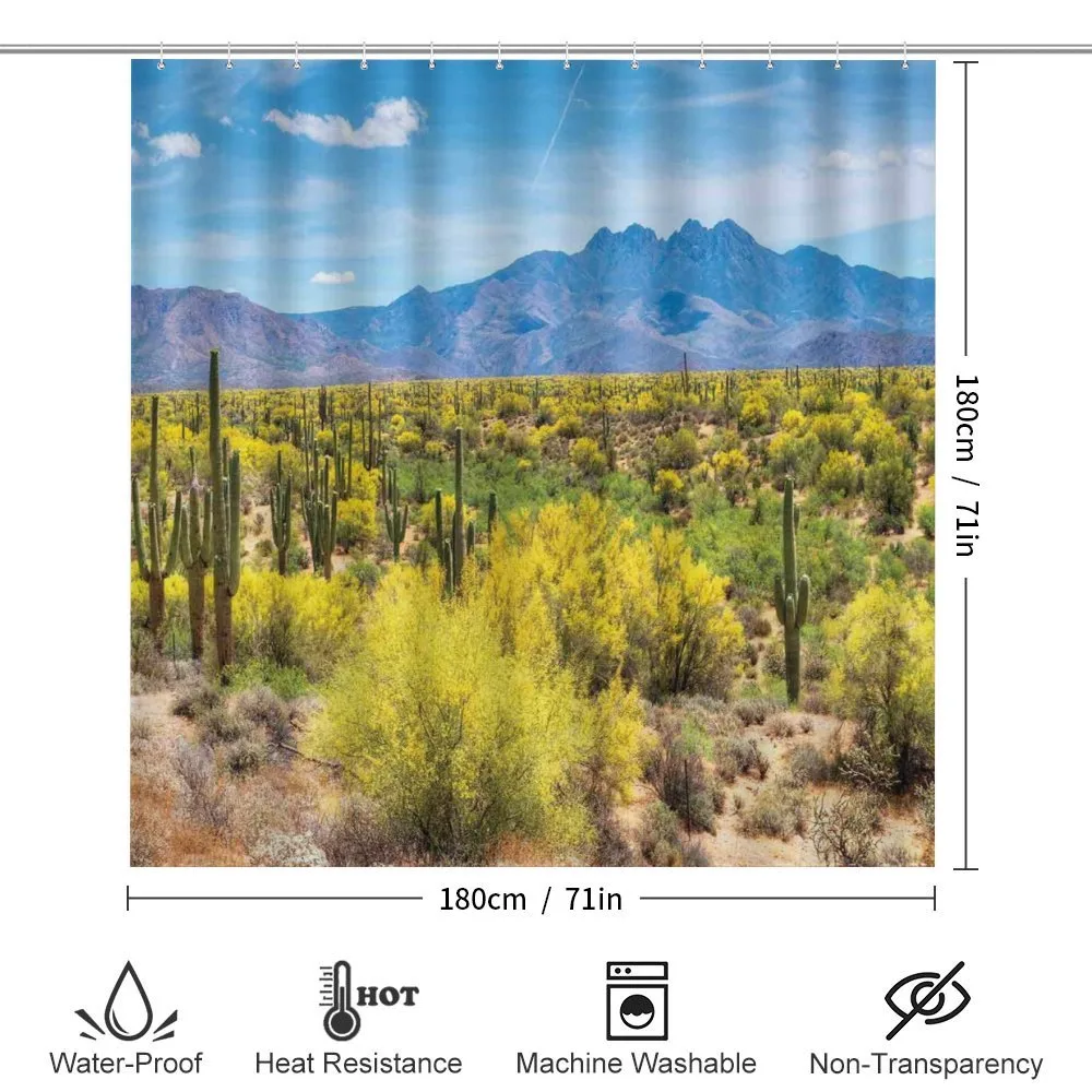 Landscape of Desert — Detail 2