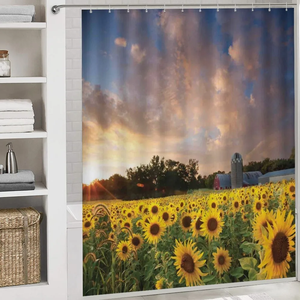 Sunflower Field Sky — Detail 4