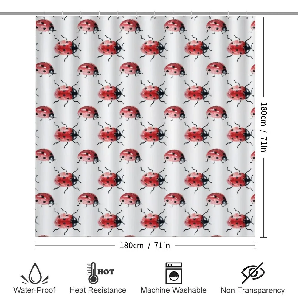 Lady Bug Insect — Detail 2