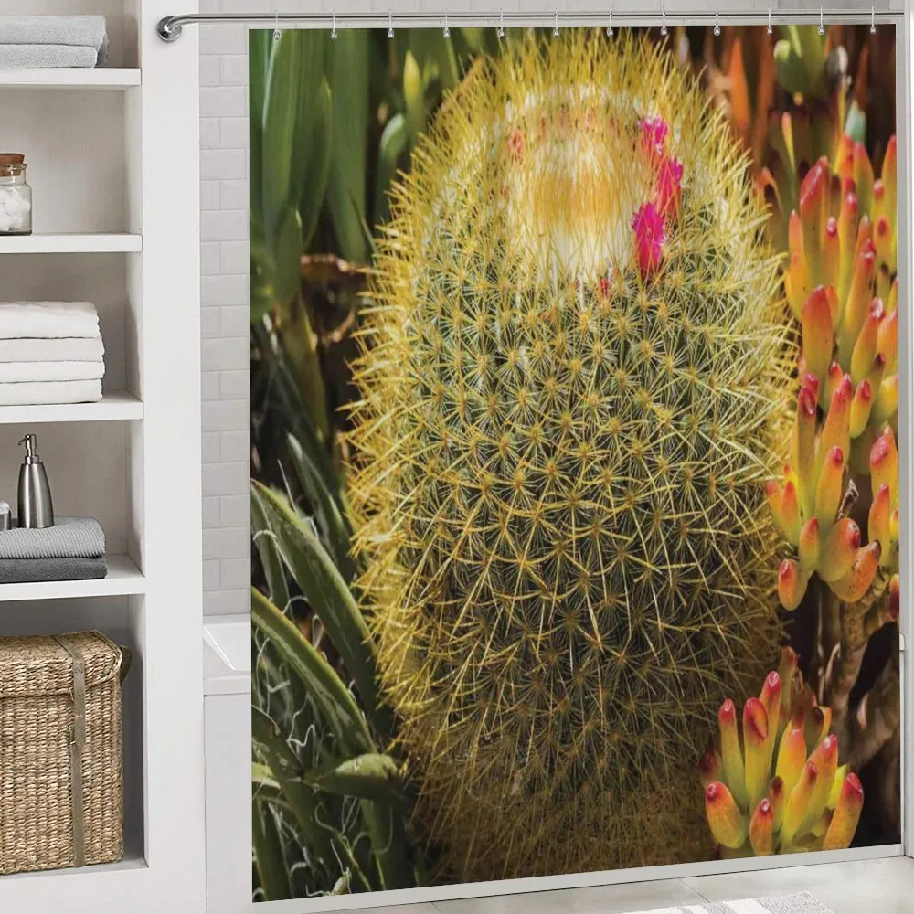 Cactus Plant with Spikes — Detail 4