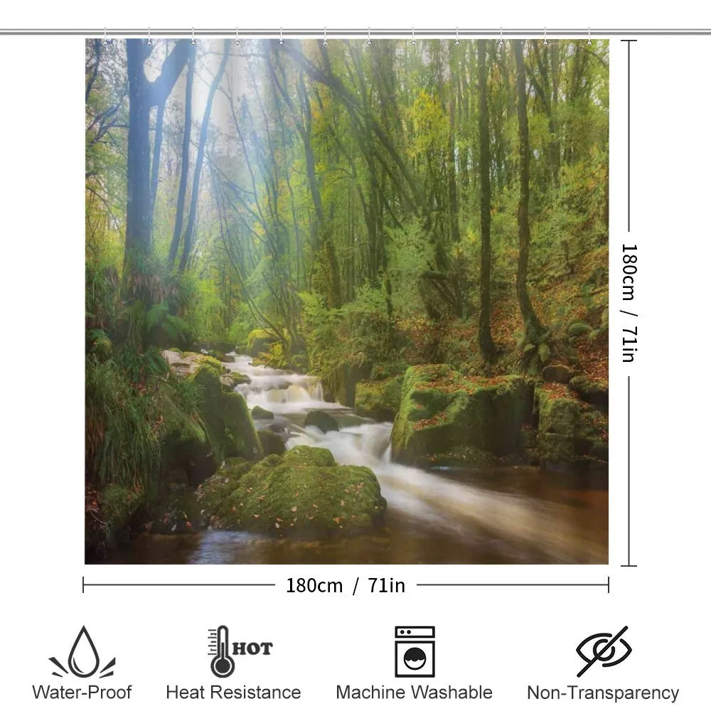 Forest at Golitha Falls — Detail 2