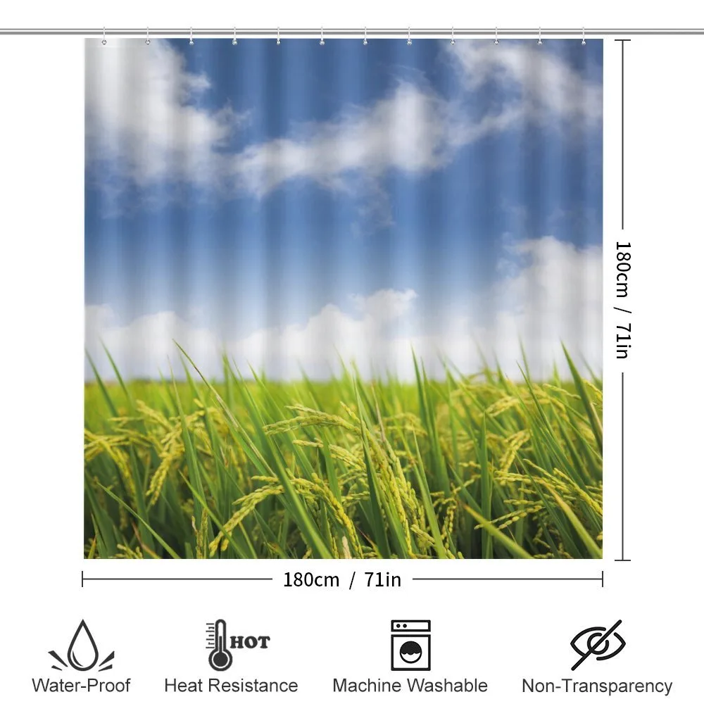 Paddy Rice Field — Detail 2