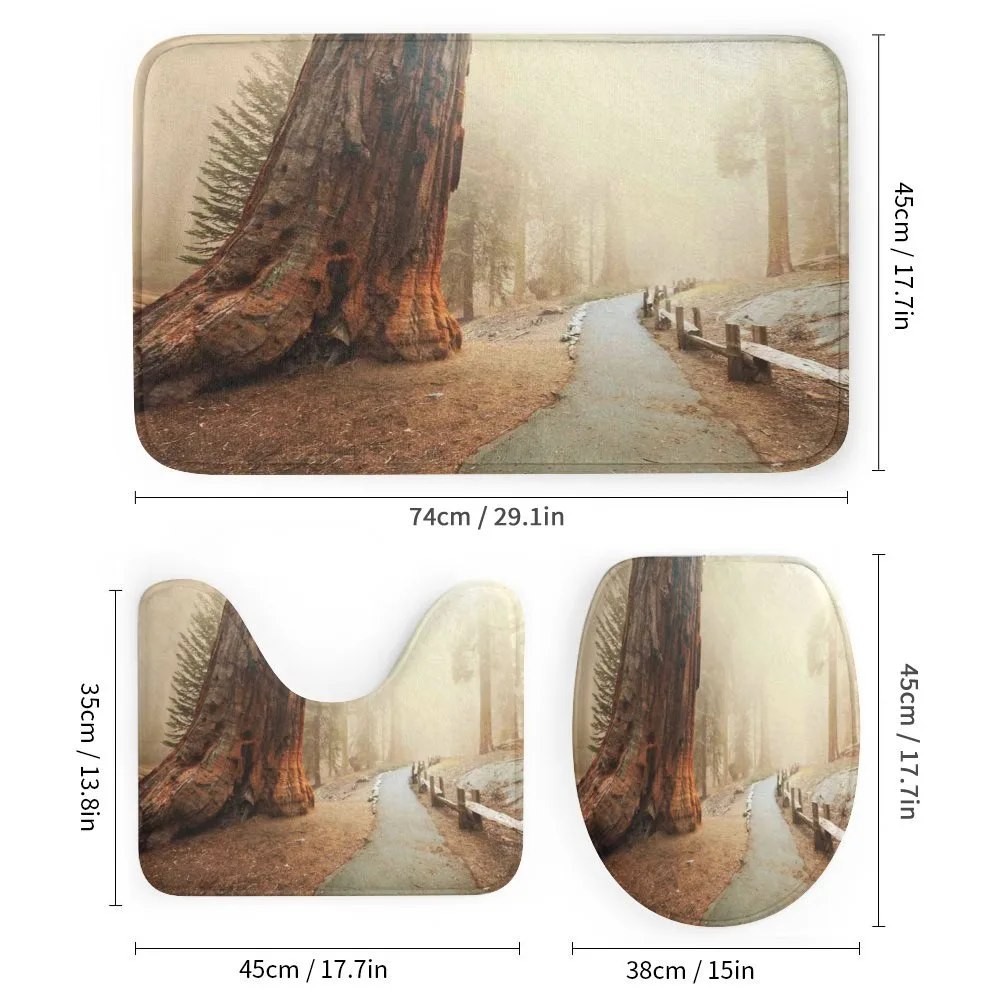 Foggy Forest Woods — Detail 1