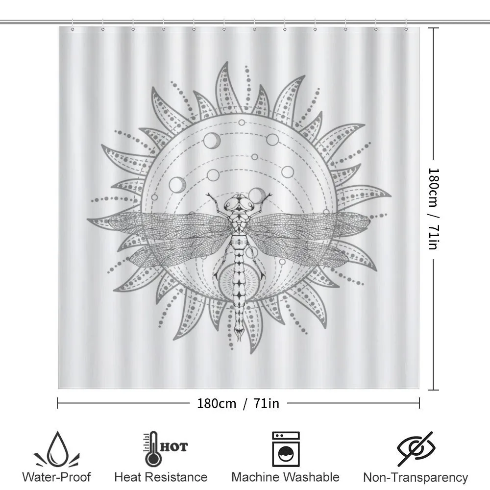 Neutral Sun and Dragonfly — Detail 2